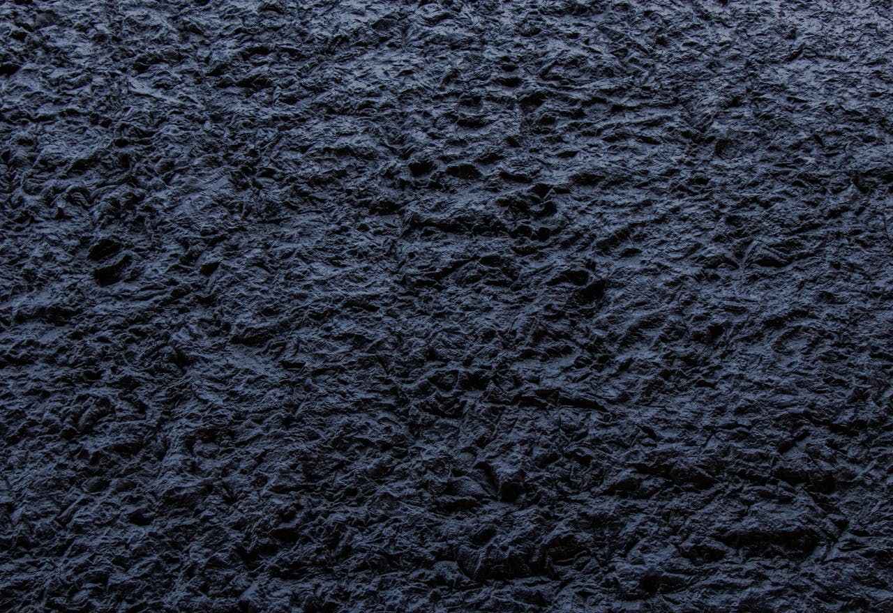 Close-up of a dark, rough textured stone surface providing an abstract background.